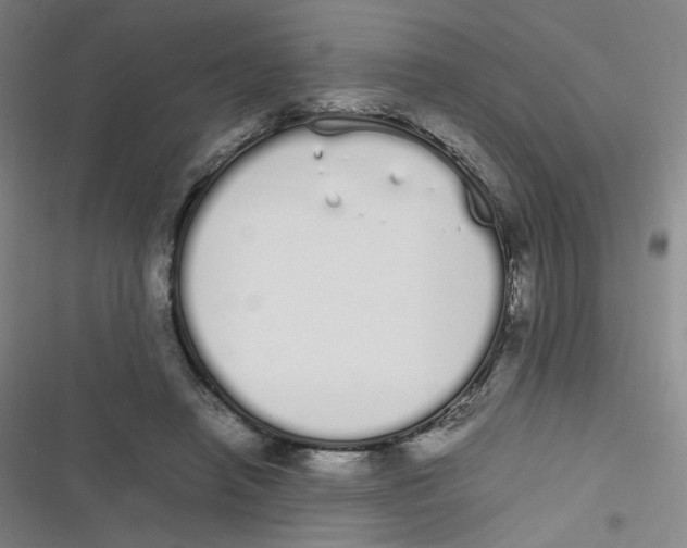 X0000116840450201001081502