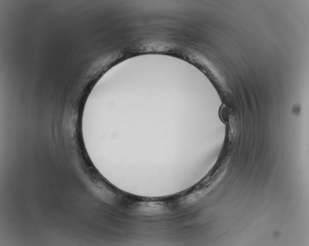 X0000116840451201001081502