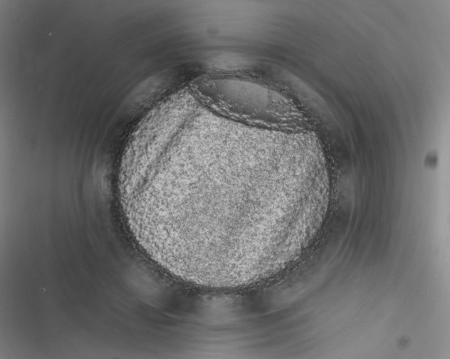 X0000116840452201001081502