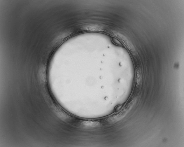 X0000116840453201001081502