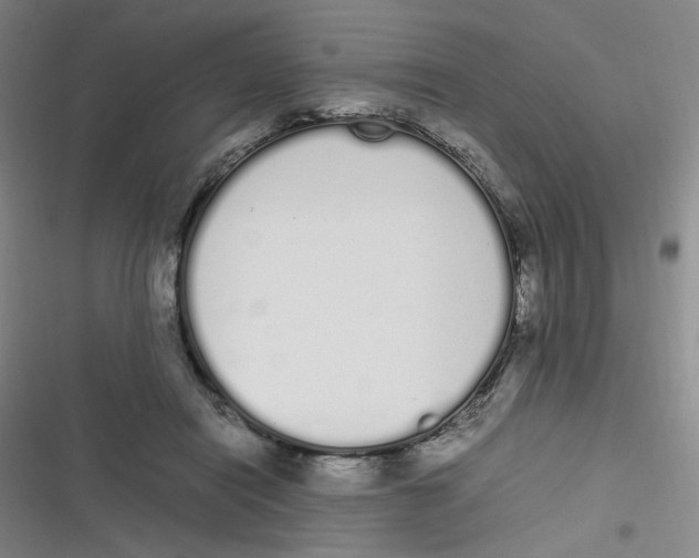 X0000116840454201001081502