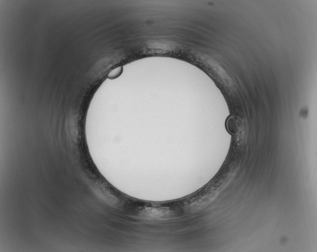 X0000116840455201001081502