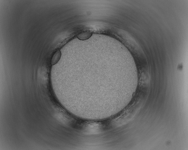 X0000116840456201001081502