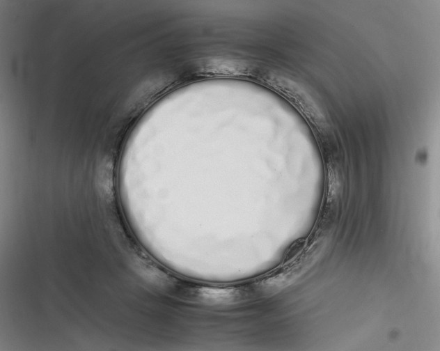 X0000116840457201001081502