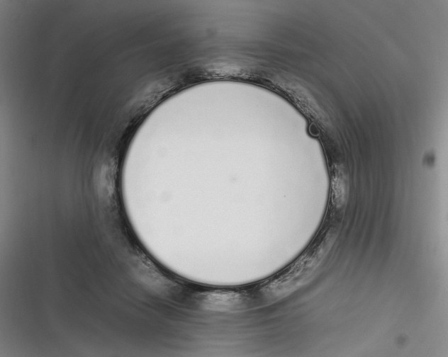 X0000116840458201001081502