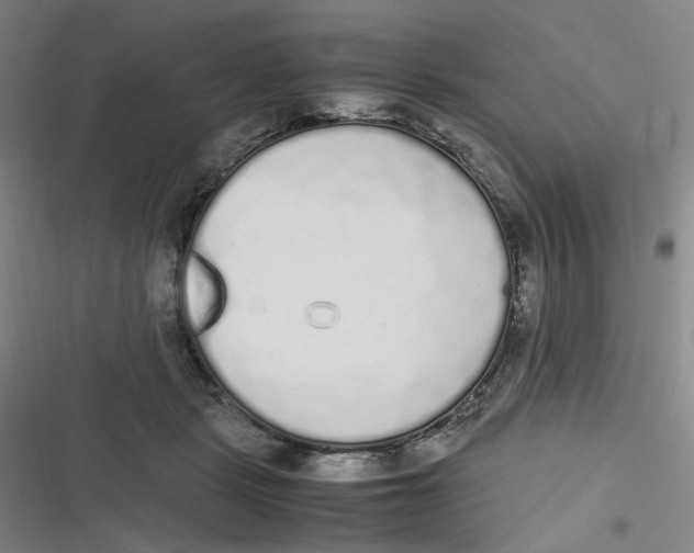 X0000116840461201001081502