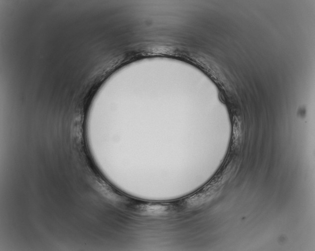 X0000116840462201001081502