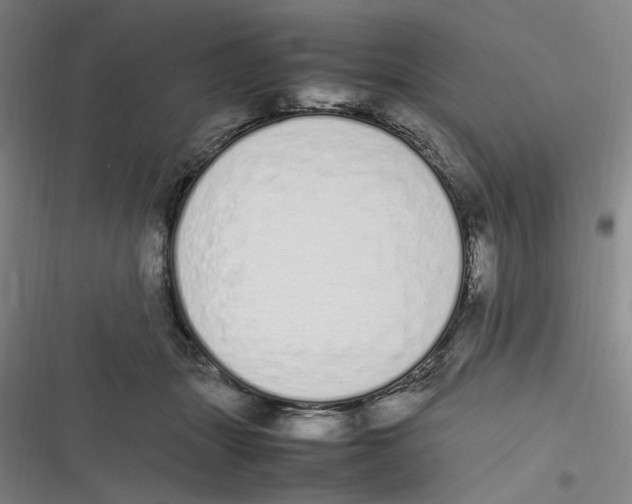 X0000116840463201001081502