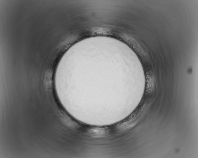 X0000116840466201001081502