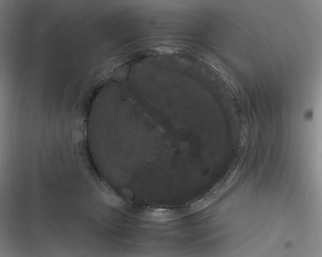 X0000116840467201001081502