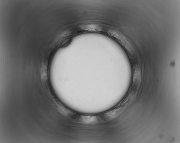 X0000116840469201001081502