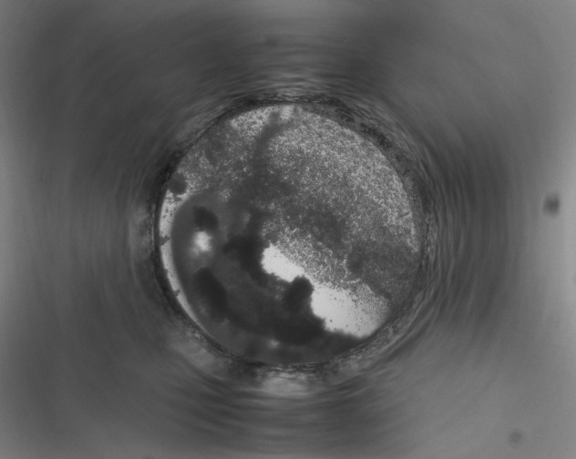 X0000116840471201001081502