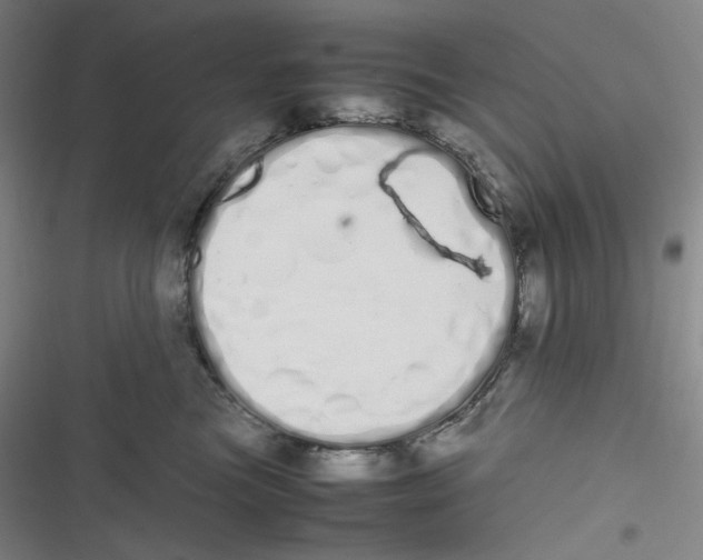 X0000116840473201001081502