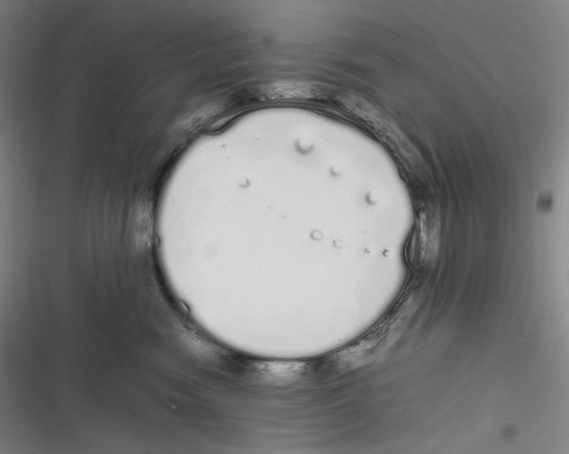 X0000116840474201001081502