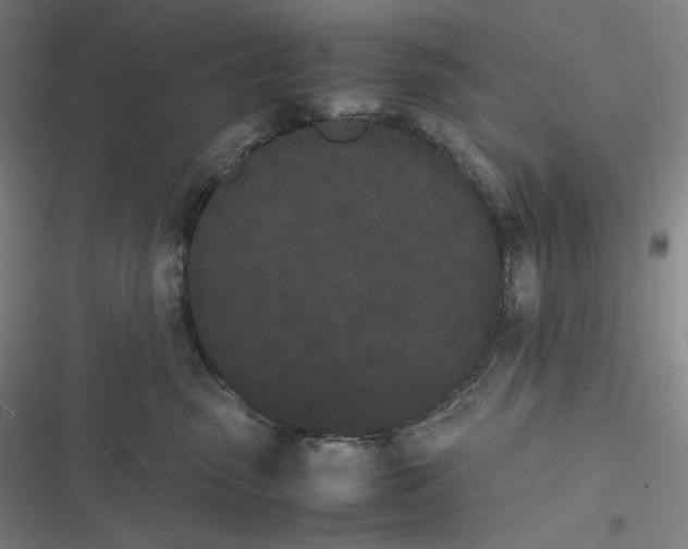 X0000116840475201001081502