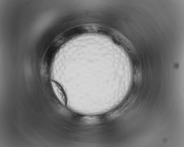 X0000116840477201001081502