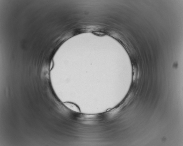 X0000116840478201001081502