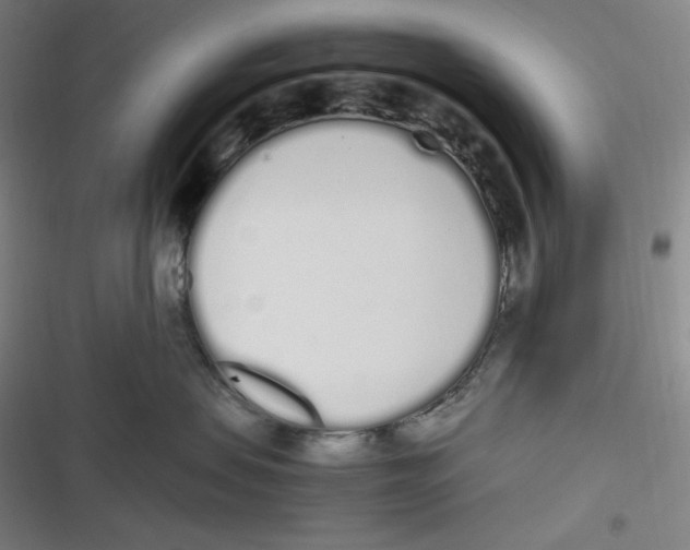 X0000116840479201001081502