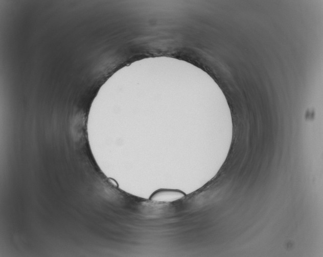 X0000116840480201001081502