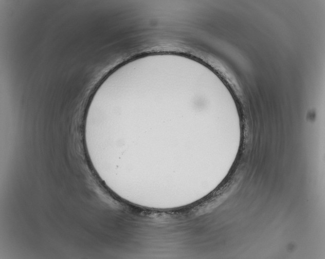 X0000116840481201001081502