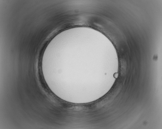 X0000116840482201001081502