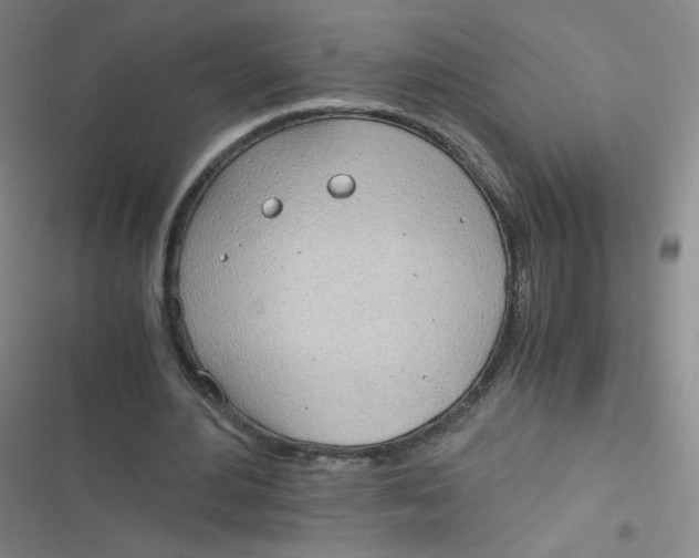 X0000116840484201001081502