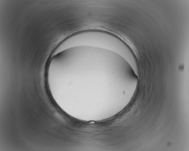 X0000116840485201001081502