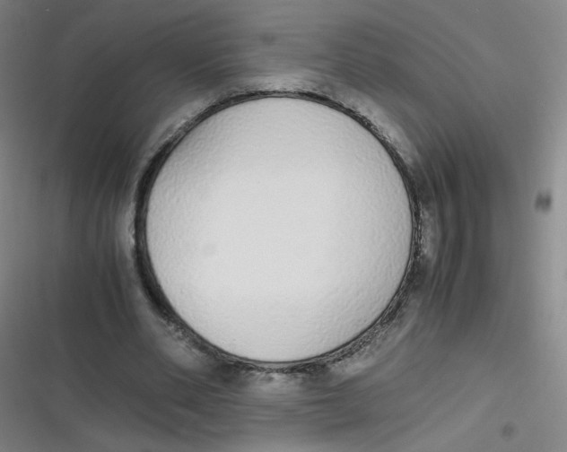 X0000116840486201001081502