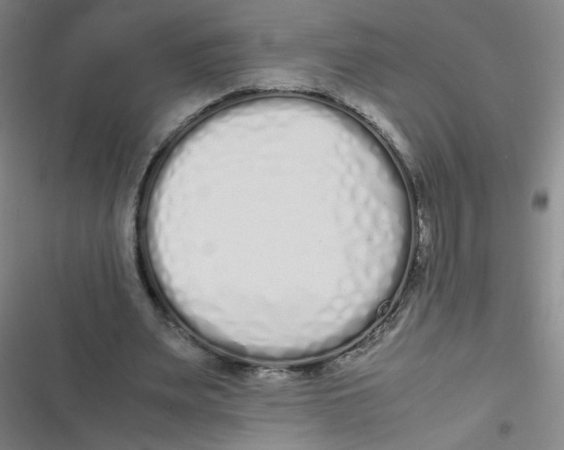 X0000116840487201001081502