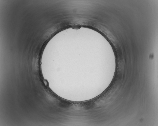 X0000116840489201001081502