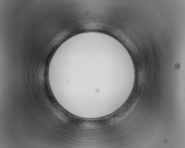 X0000116840490201001081502