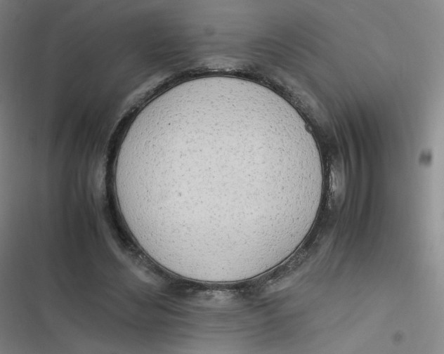 X0000116840492201001081501