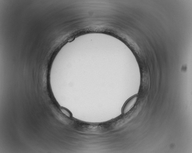 X0000116840493201001081501