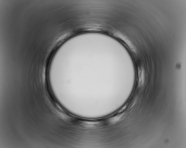 X0000116840494201001081501