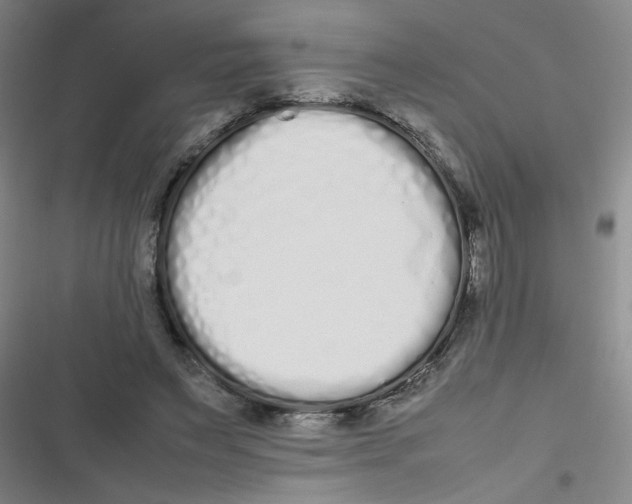 X0000116840495201001081501