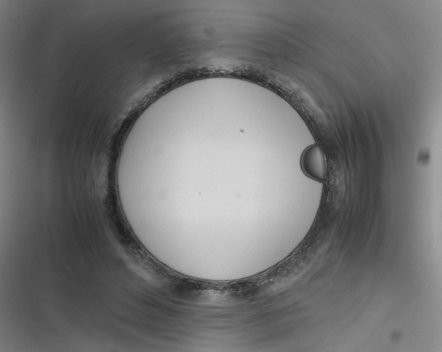 X0000116840496201001081501