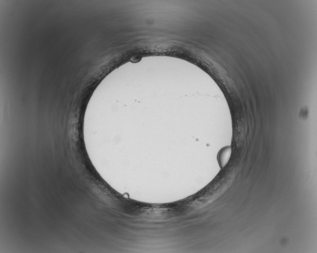 X0000116840497201001081501