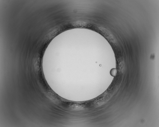 X0000116840498201001081501