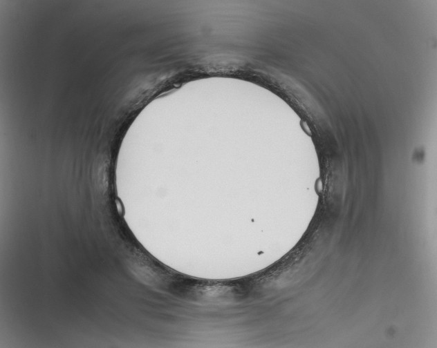 X0000116840501201001081501