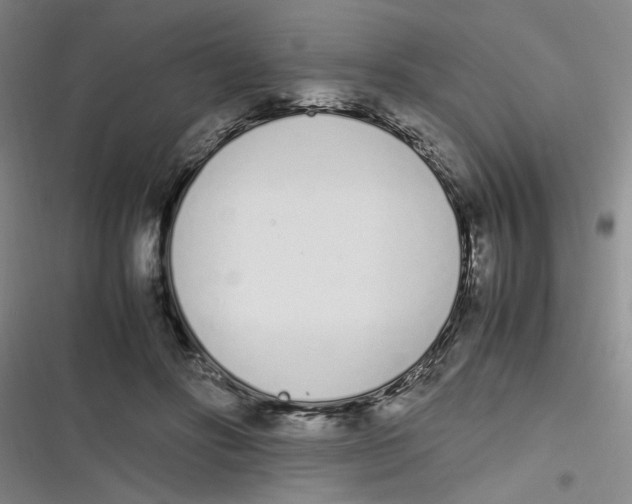 X0000116840502201001081501