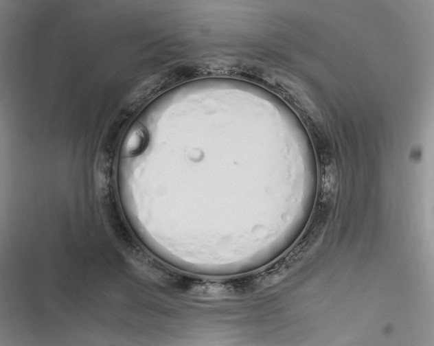 X0000116840503201001081501