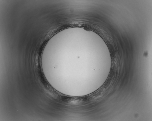 X0000116840504201001081501