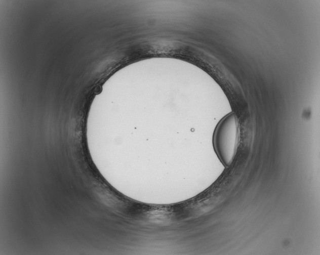 X0000116840505201001081501