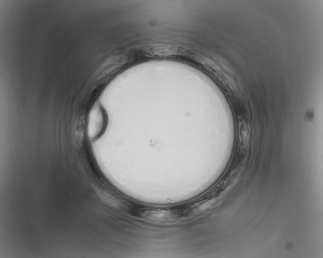 X0000116840507201001081501