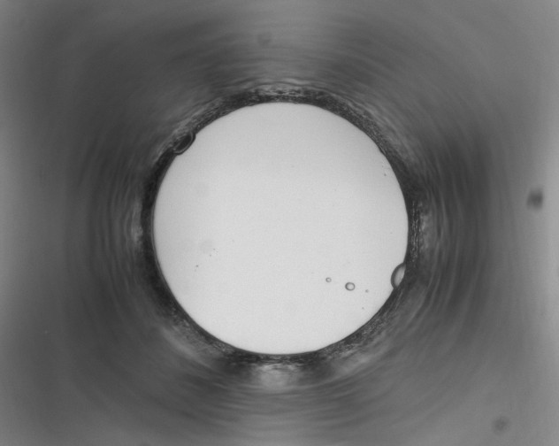 X0000116840508201001081501