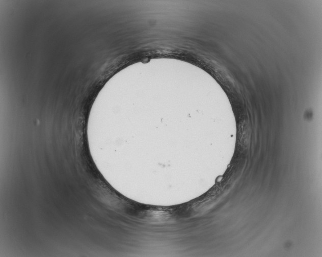 X0000116840509201001081501