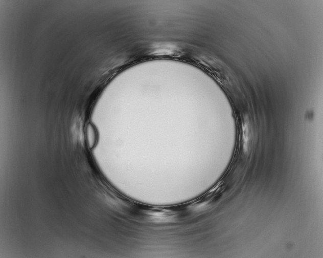 X0000116840510201001081501