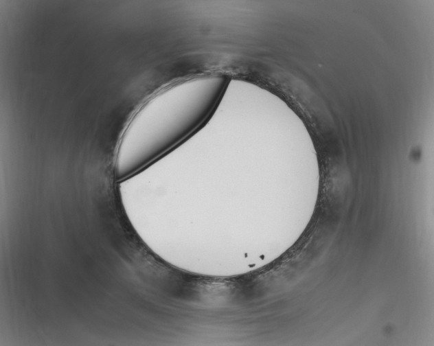 X0000116840513201001081501