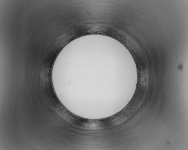 X0000116840514201001081501