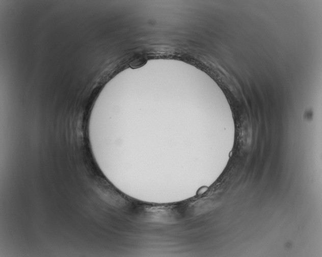 X0000116840516201001081501